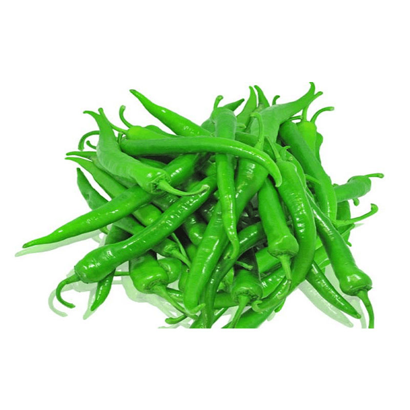 Green Chilli (పచ్చిమిర్చి)